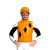 Jockey Silk