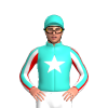 Jockey Silk