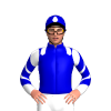 Jockey Silk