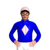 Jockey Silk