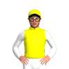 Jockey Silk