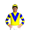 Jockey Silk