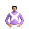 Jockey Silk