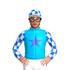 Jockey Silk