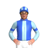 Jockey Silk