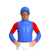 Jockey Silk