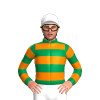 Jockey Silk