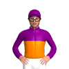 Jockey Silk