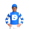 Jockey Silk