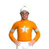 Jockey Silk