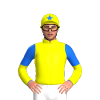 Jockey Silk