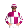 Jockey Silk