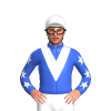 Jockey Silk