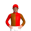 Jockey Silk