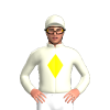 Jockey Silk