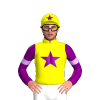 Jockey Silk