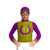 Jockey Silk
