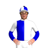 Jockey Silk