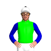 Jockey Silk