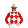 Jockey Silk