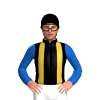 Jockey Silk
