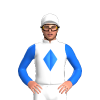 Jockey Silk