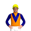 Jockey Silk