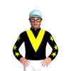 Jockey Silk