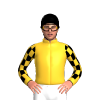 Jockey Silk