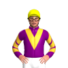 Jockey Silk