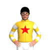 Jockey Silk