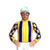 Jockey Silk