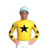 Jockey Silk