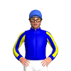 Jockey Silk