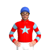 Jockey Silk