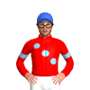 Jockey Silk