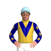 Jockey Silk
