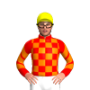 Jockey Silk