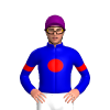 Jockey Silk