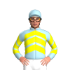 Jockey Silk