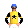 Jockey Silk