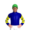 Jockey Silk