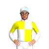 Jockey Silk