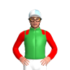 Jockey Silk