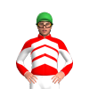 Jockey Silk