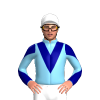 Jockey Silk