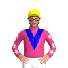 Jockey Silk