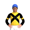 Jockey Silk