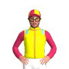 Jockey Silk