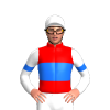 Jockey Silk